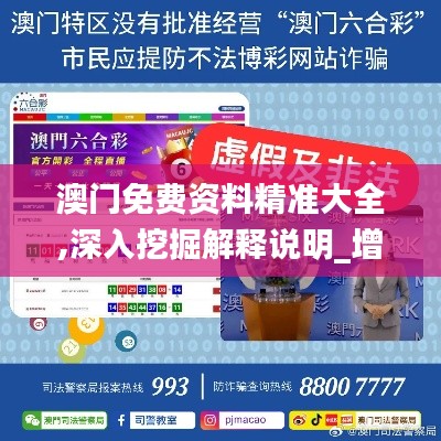 澳门免费资料精准大全,深入挖掘解释说明_增强版QGE8.33