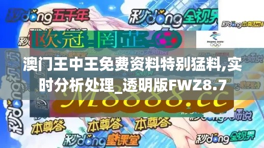 澳门王中王免费资料特别猛料,实时分析处理_透明版FWZ8.7