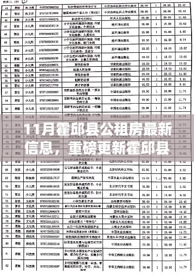 霍邱县公租房最新动态，11月房源信息一览及申请指南全解析