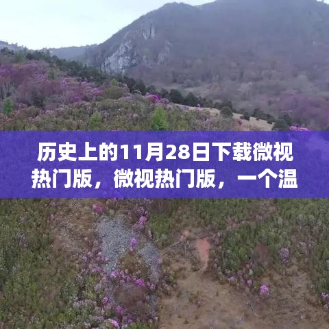 微视热门版下载故事，温馨有趣的11月28日历程回顾