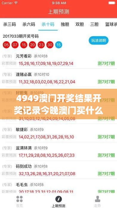 4949澳门开奖结果开奖记录今晚澳门买什么最好,实地验证研究方案_时刻版QAH8.15