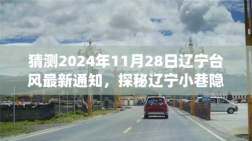 揭秘辽宁台风最新通知与小巷隐世小店的探秘故事，2024年台风最新动态猜想与背后故事