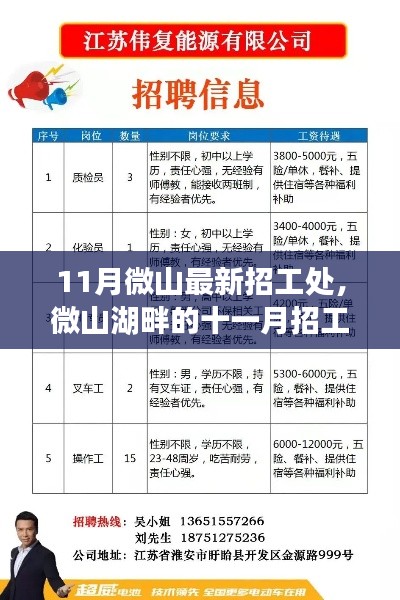 微山湖畔十一月招工热潮揭秘，最新招工信息大放送！