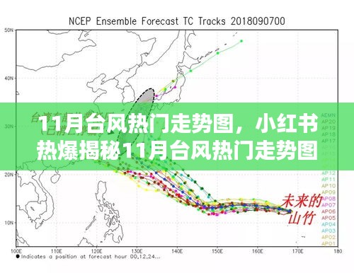 小红书揭秘，提前了解11月台风热门走势图，安全无忧的必备指南！