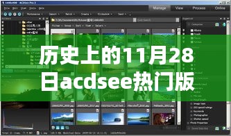 揭秘历史中的这一天，秘境探索背后的巷子特色小店——ACDsee热门版背后的故事