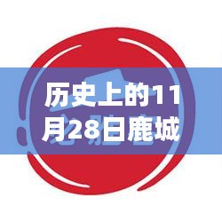 历史上的11月28日鹿城狂欢回顾，热门事件与鹿城热潮