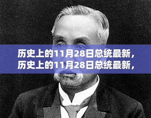 历史上的11月28日总统揭秘，全面评测与详细介绍