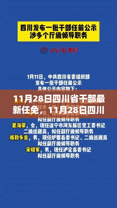 四川省干部最新任免动态，深度解读与观点阐述