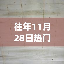 往年11月28日木皮求购热潮解析，市场繁荣背后的隐忧与洞察