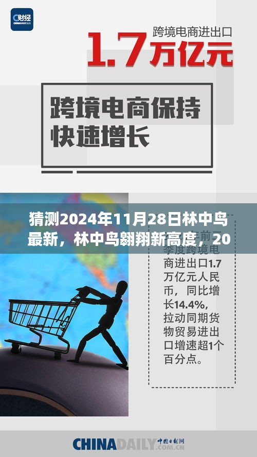 林中鸟翱翔新高度，自信与成长之旅，最新预测与展望 2024年11月28日