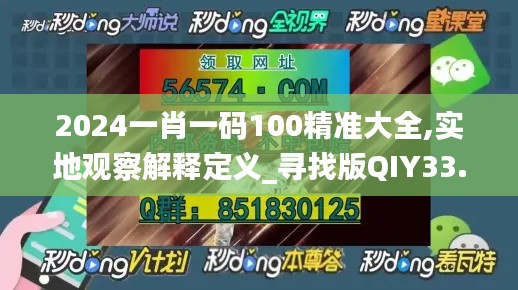 2024一肖一码100精准大全,实地观察解释定义_寻找版QIY33.297