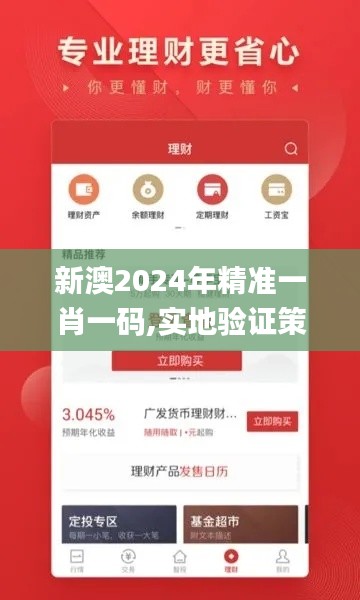 新澳2024年精准一肖一码,实地验证策略具体_品味版WVL23.294