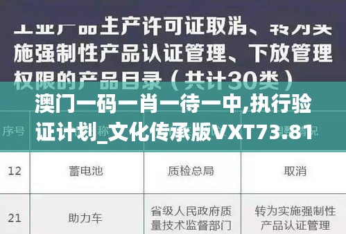 澳门一码一肖一待一中,执行验证计划_文化传承版VXT73.811