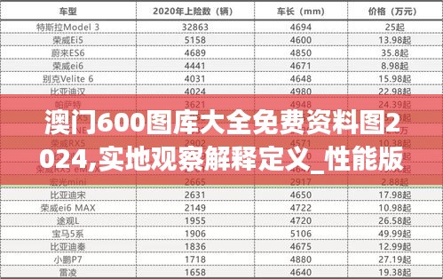 澳门600图库大全免费资料图2024,实地观察解释定义_性能版WXU79.401