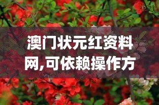 澳门状元红资料网,可依赖操作方案_文化版WYO36.987