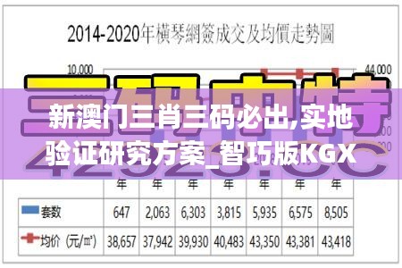 新澳门三肖三码必出,实地验证研究方案_智巧版KGX11.255