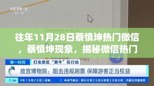 揭秘蔡慎坤现象，微信热门文章背后的故事与影响力解析