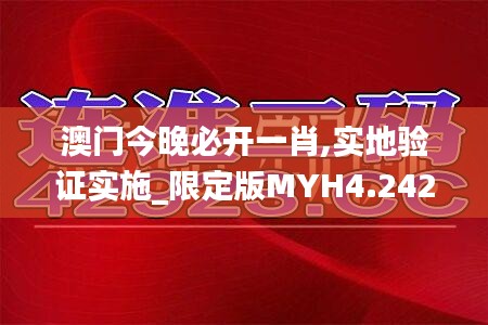 澳门今晚必开一肖,实地验证实施_限定版MYH4.242