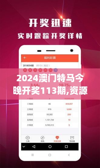 2024澳门特马今晚开奖113期,资源部署方案_无限版XPR73.845