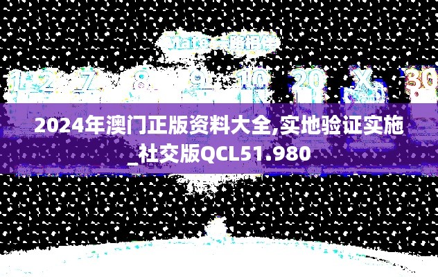 2024年澳门正版资料大全,实地验证实施_社交版QCL51.980