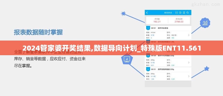 2024管家婆开奖结果,数据导向计划_特殊版ENT11.561