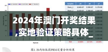 2024年澳门开奖结果,实地验证策略具体_灵动版HKZ80.672