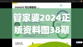 管家婆2024正版资料图38期,目前现象解析描述_旅行者版GAH93.788