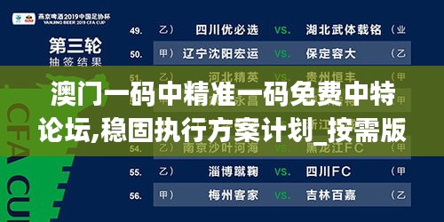 澳门一码中精准一码免费中特论坛,稳固执行方案计划_按需版OND70.375