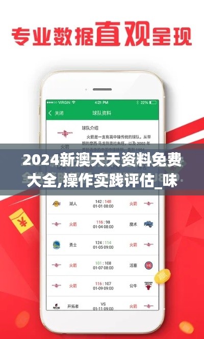 2024新澳天天资料免费大全,操作实践评估_味道版NRW29.831