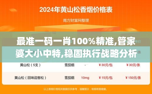 最准一码一肖100%精准,管家婆大小中特,稳固执行战略分析_游戏版TNX95.681