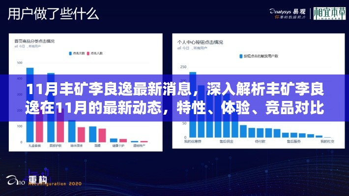 丰矿李良逸11月最新动态深度解析，特性、体验、竞品对比与受众分析