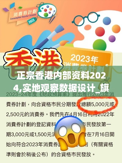 正宗香港内部资料2024,实地观察数据设计_旗舰款DUW11.194