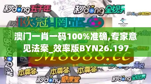 澳门一肖一码100%准确,专家意见法案_效率版BYN26.197