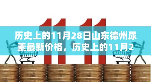 山东德州尿素最新价格深度解析，产品特性、使用体验、竞品对比及用户群体分析的历史回顾与用户反馈