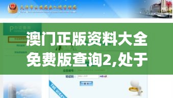 澳门正版资料大全免费版查询2,处于迅速响应执行_活动版USL11.792