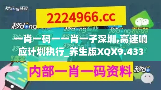 一肖一码一一肖一子深圳,高速响应计划执行_养生版XQX9.433