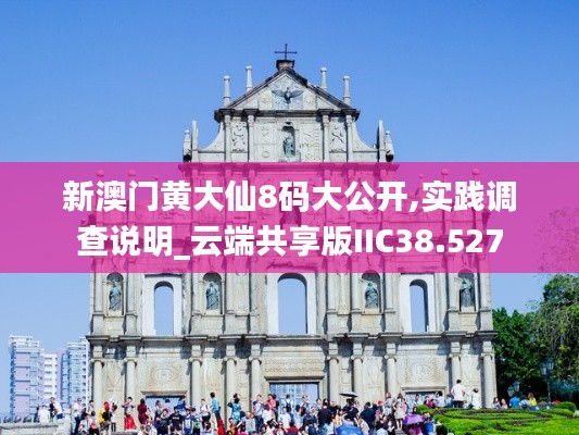 新澳门黄大仙8码大公开,实践调查说明_云端共享版IIC38.527