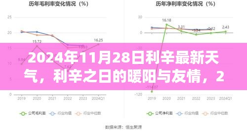 利辛之日的暖阳与友情，2024年11月28日利辛最新天气与温馨日常