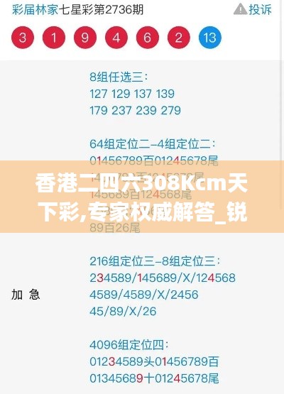 香港二四六308Kcm天下彩,专家权威解答_锐意版FOR59.166