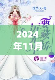 顾欢颜北冥墨，2024年11月28日独特篇章与热门章节背后的故事