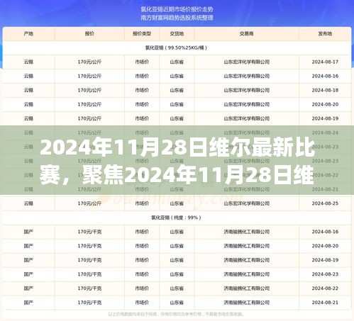 2024年11月28日维尔赛场盛宴，聚焦一场精彩绝伦的体育比赛