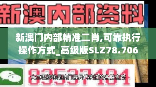 新澳门内部精准二肖,可靠执行操作方式_高级版SLZ78.706