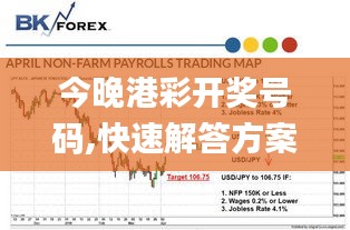 2024年11月 第42页