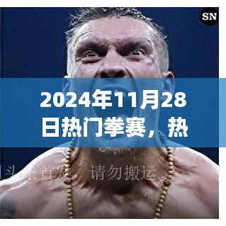 聚焦拳坛风云，2024年11月28日热门拳赛日深度解析与观点分享