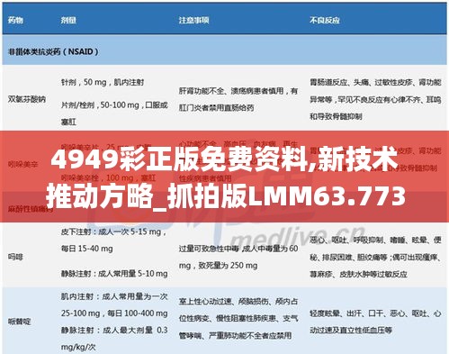 4949彩正版免费资料,新技术推动方略_抓拍版LMM63.773