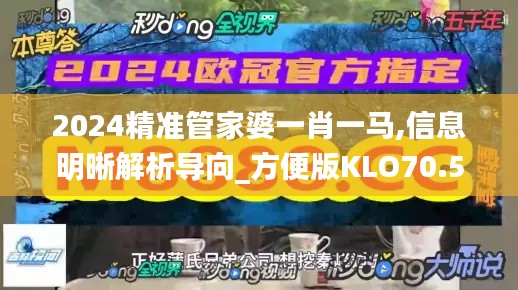 2024精准管家婆一肖一马,信息明晰解析导向_方便版KLO70.576