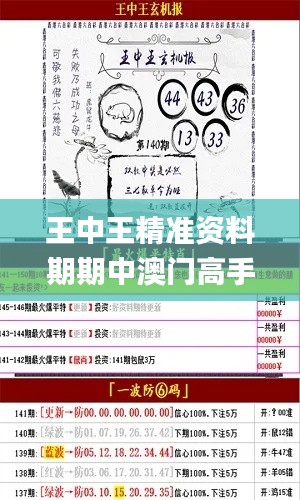 王中王精准资料期期中澳门高手,策略规划_商务版VCJ47.828