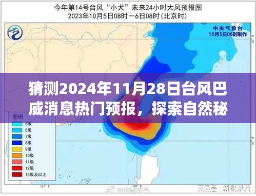 2024年11月 第25页