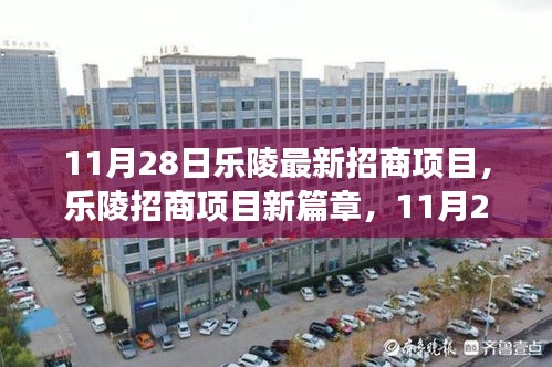 乐陵招商项目新篇章，11月28日里程碑事件及其深远影响