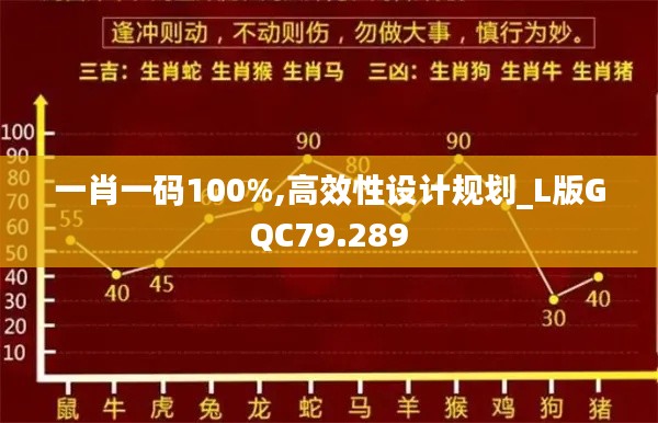 一肖一码100%,高效性设计规划_L版GQC79.289